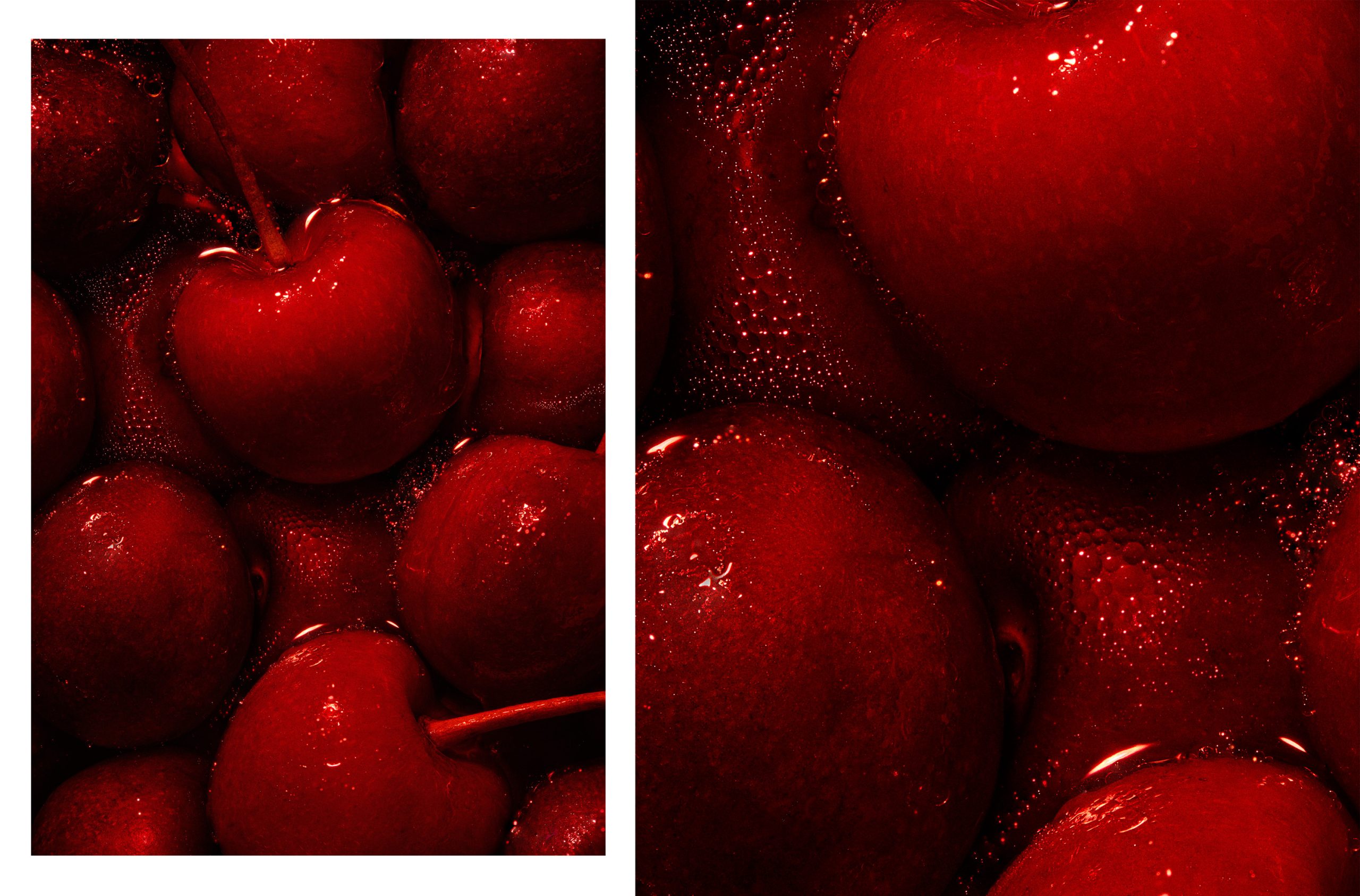 Folio Reds0120