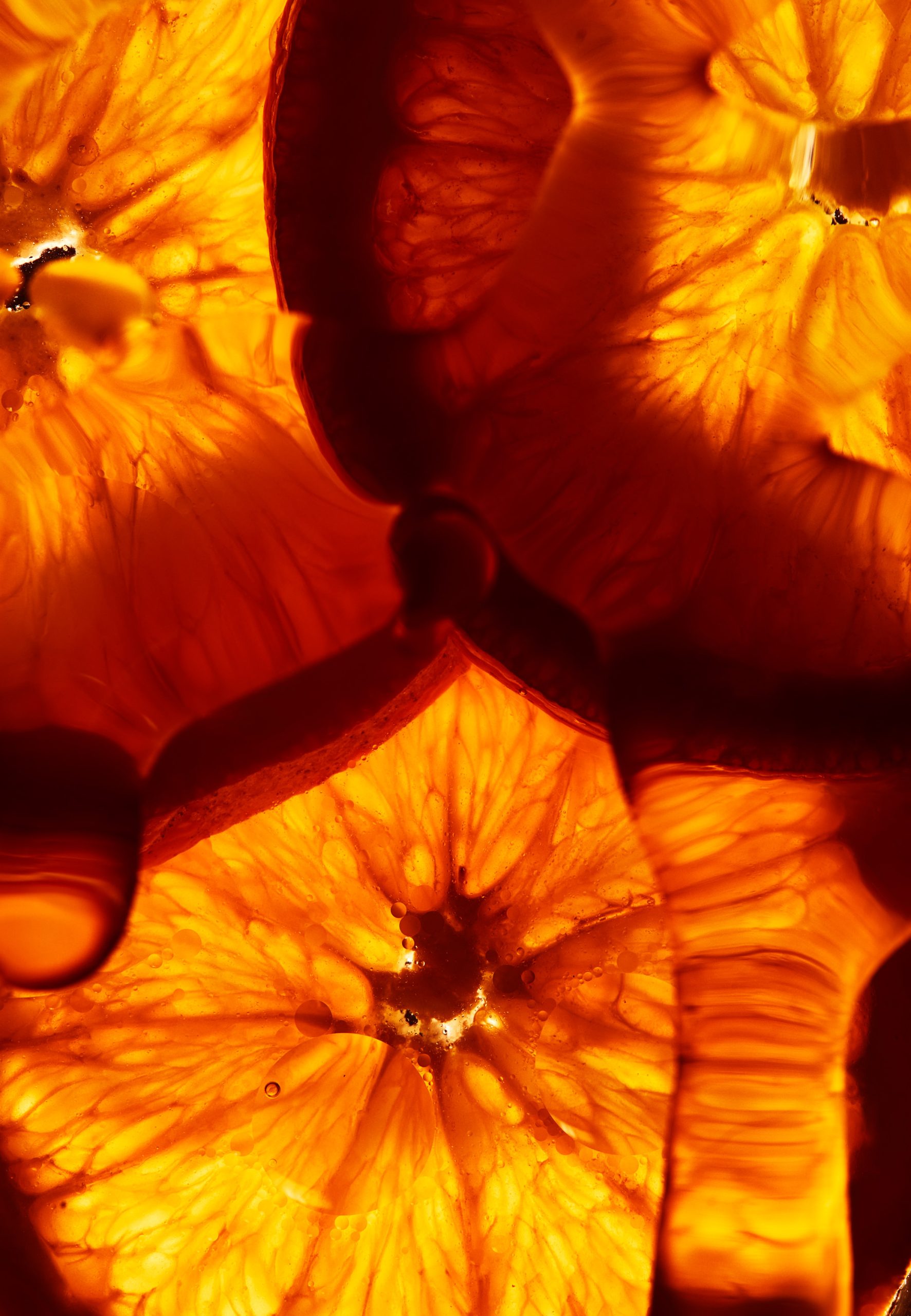 Oranges1231